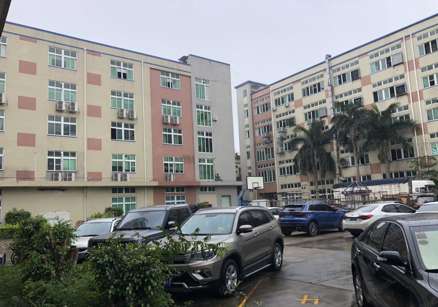 合同十年一手房东直租光明龙大高速旁独院厂房仓库8000平出租