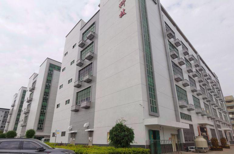 低价光明楼村原房东5000平厂房出租100平起房可分租带装修