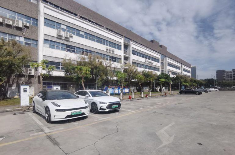 公明300至8000平方一楼上精装修办公室仓库电商物流出租