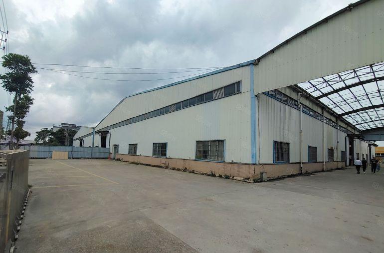 签十年!光明红本独院钢构厂房  出租10000平  滴水七米