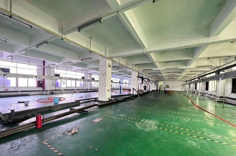 公明马山头原房东厂房出租 现成装修1800平 无公摊