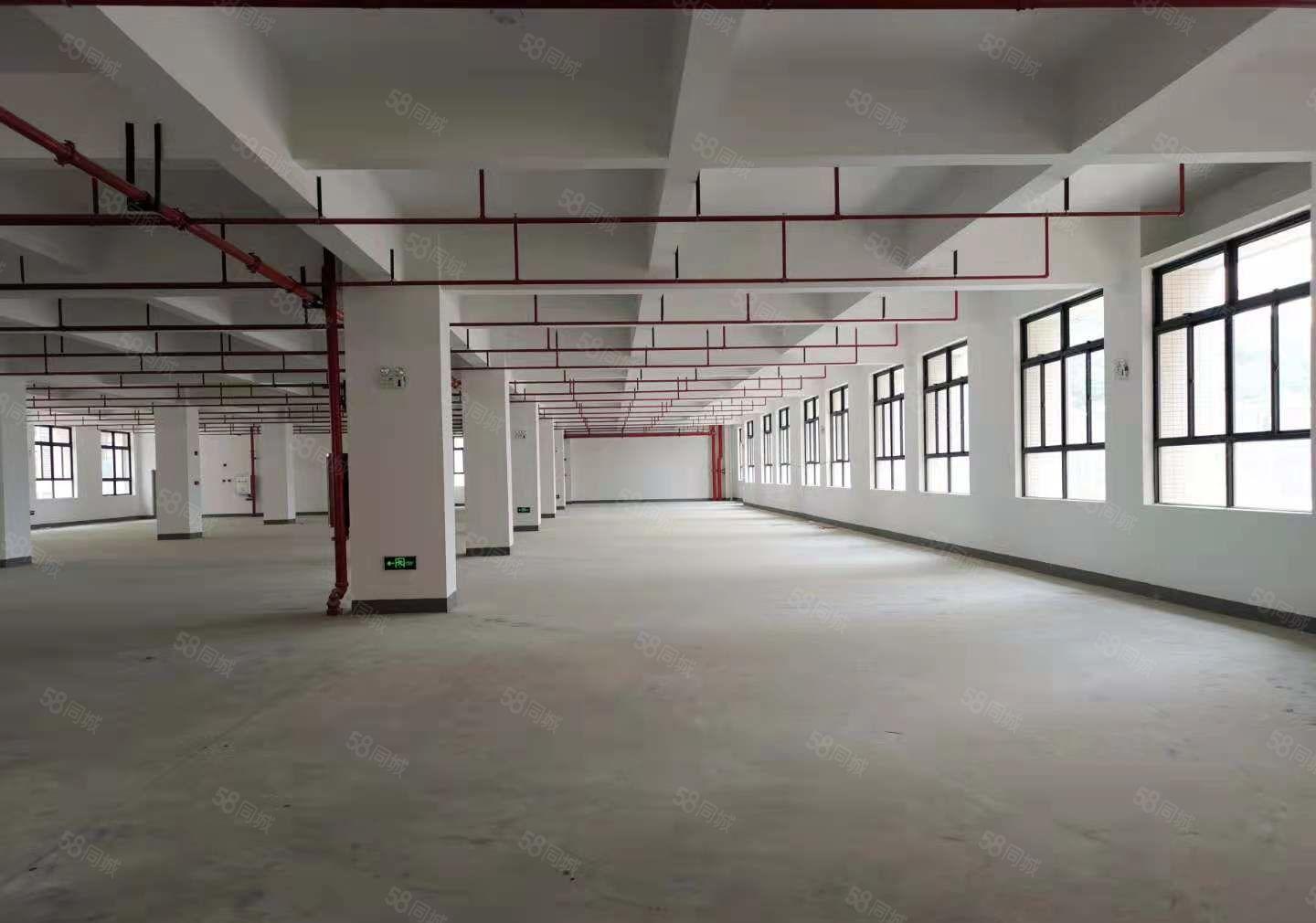 开发商直租厂房，仓库出租15000平600平起分，3吨货梯