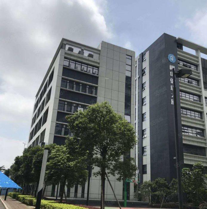 光明公明半导体，芯片，电商产业园500至3000平，红本厂房