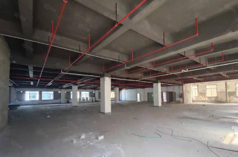 光明800平方原房东红本厂房仓库出租300起租可办公研发