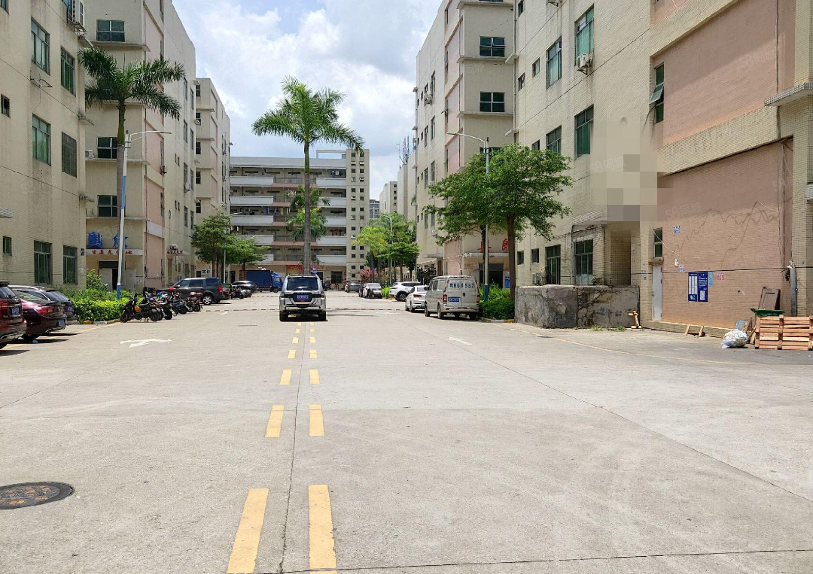 光明大型园区2楼3楼各3000平，共6000平，可分层出租