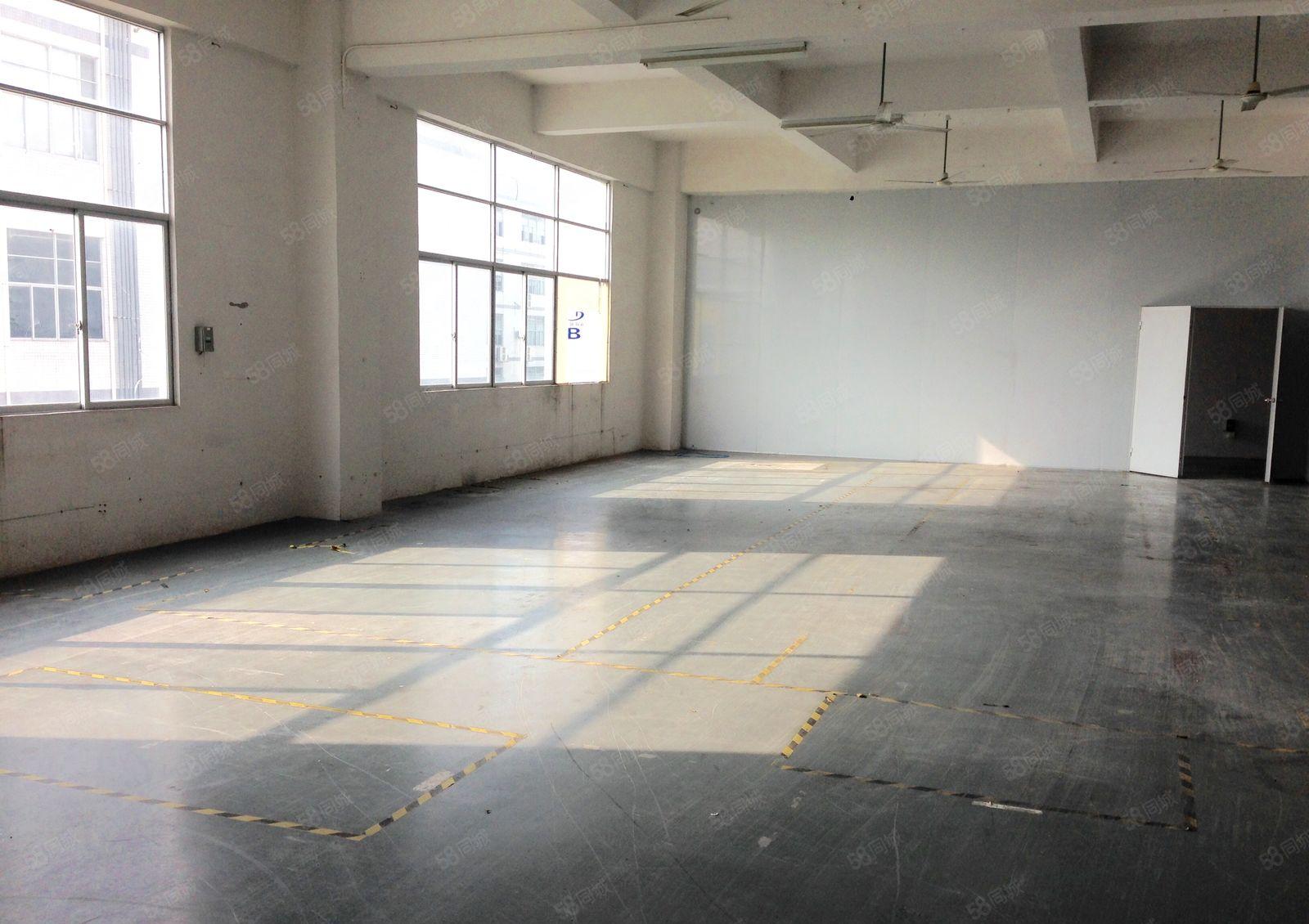 公明楼村1000平米工业厂房业主直租，价格可面谈