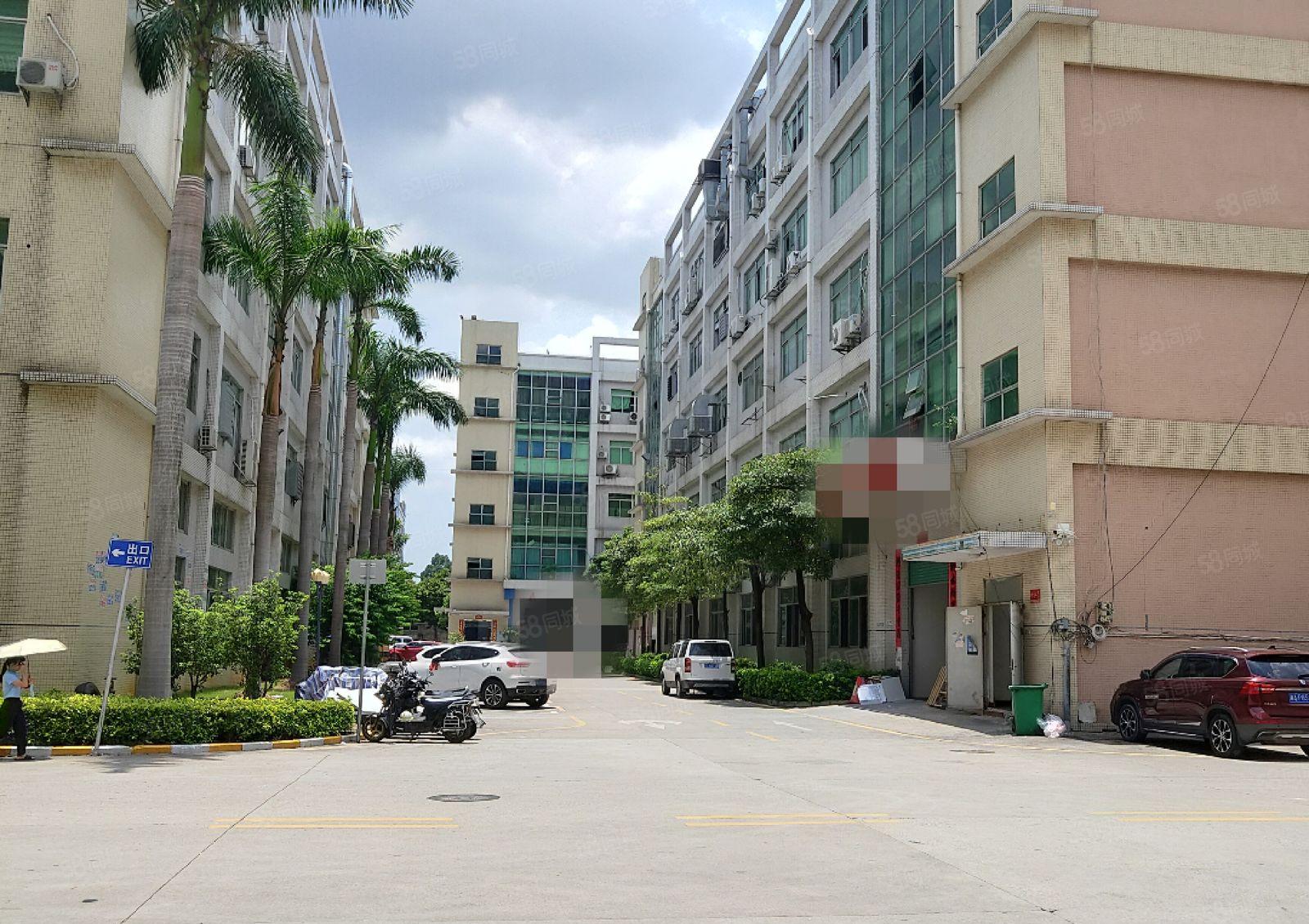 光明大型园区2楼3楼各3000平，共6000平，可分层出租