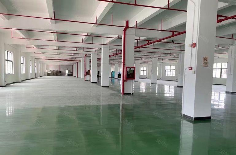 公明原房东独栋15000平厂房出租精装修  带有红本