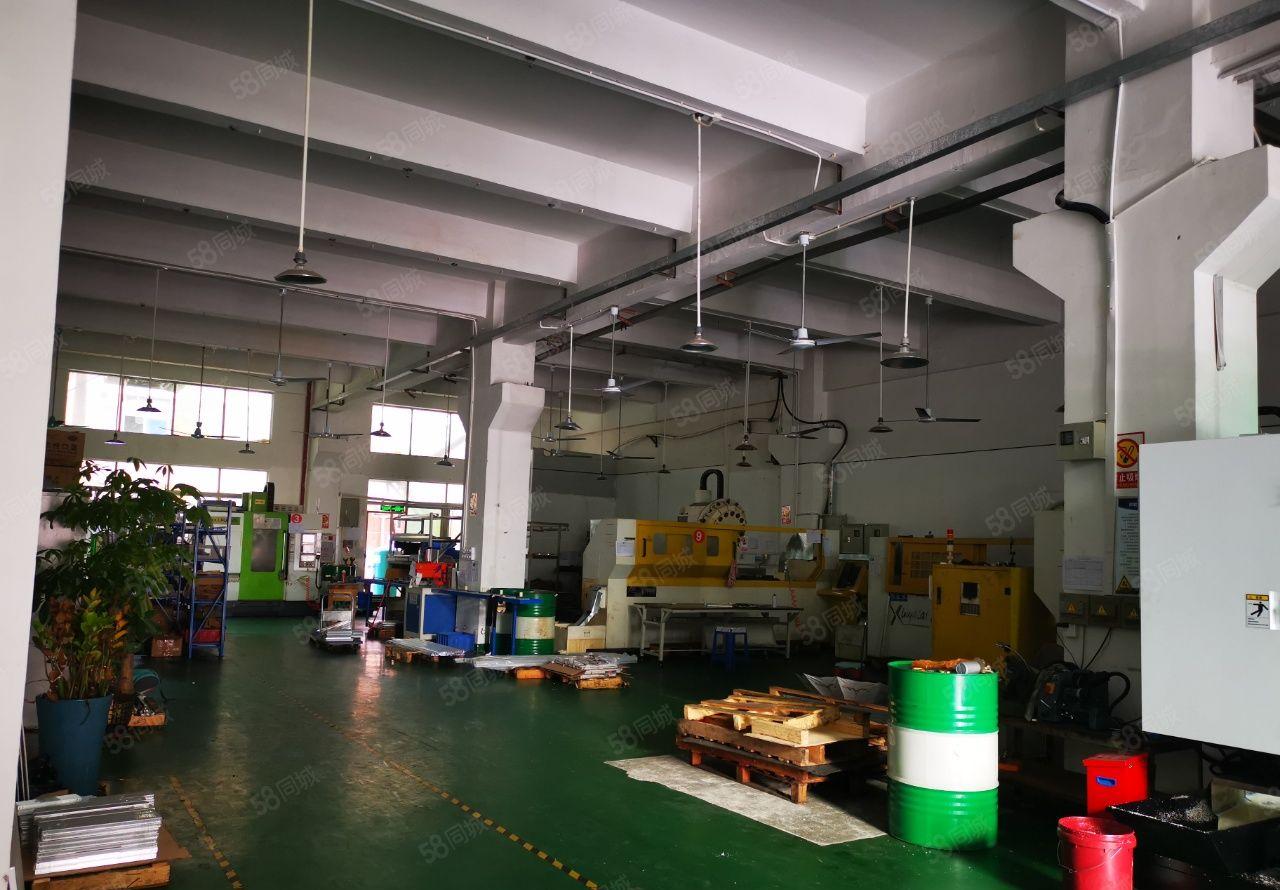 东坑新出一楼标准厂房300平带装修