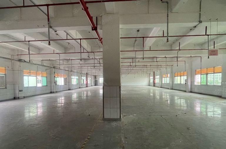 公明新出小面积（200平方）可合租可整租500平方有免租期