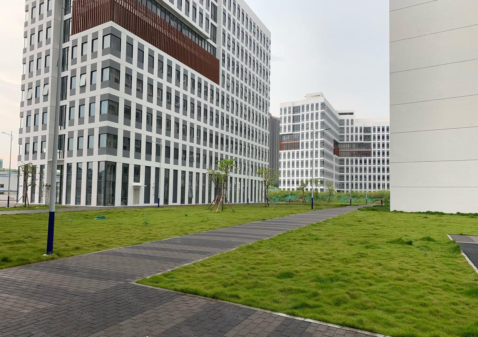 项目直租（带装修1500平方起）出租可分租