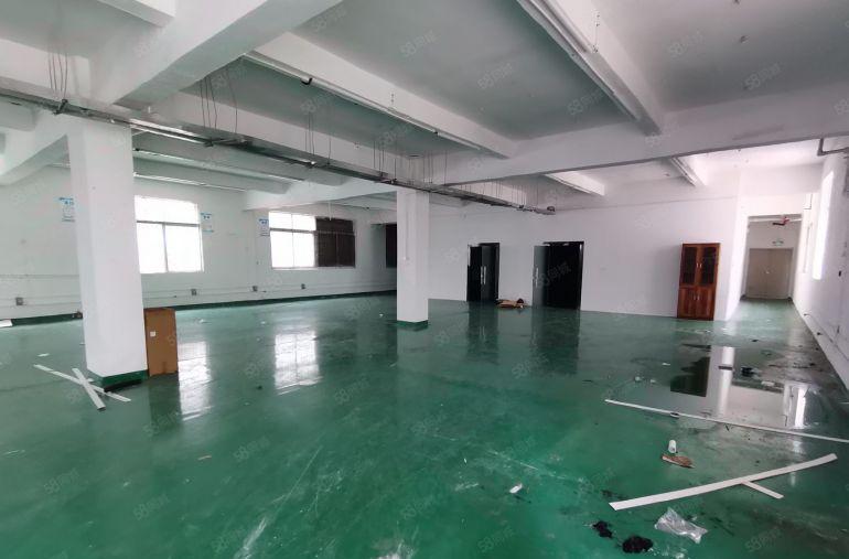 光明地铁口2000平独门独院精装物流仓库生产电商办公出租分租