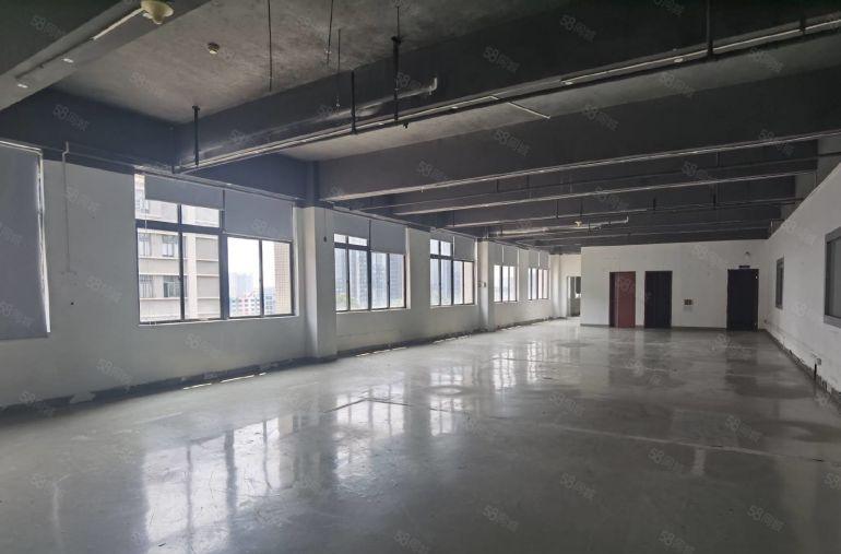 光明村委原房东厂房出租 1000平至3000平大小面积都有