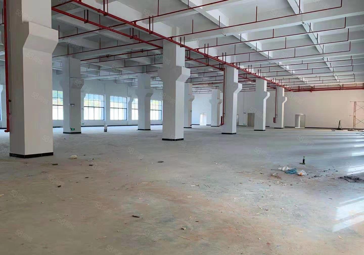 公明一楼厂房出租，(300平一1500平25元）起租