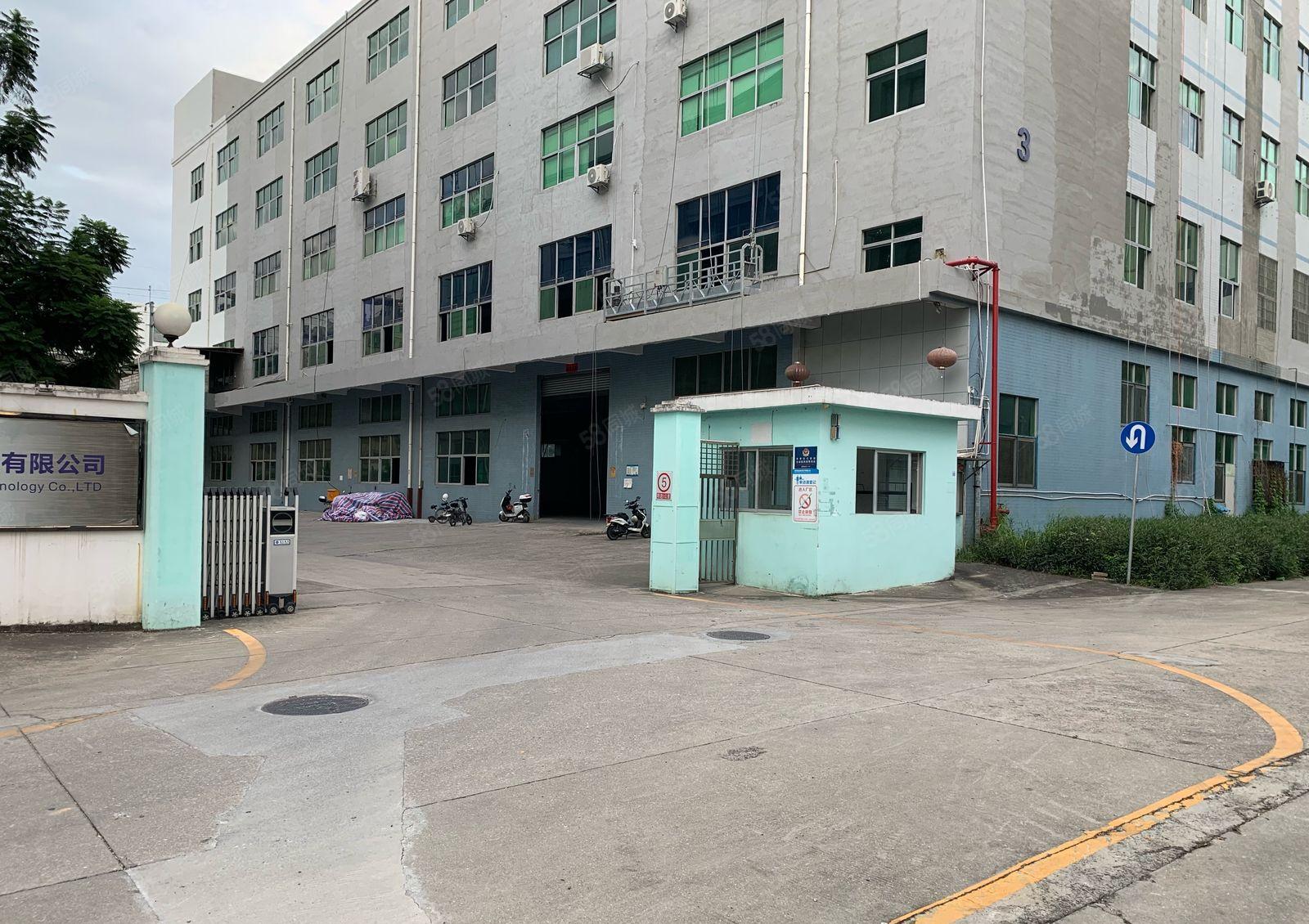 公明上村新出原房东厂房12层5000平方可分