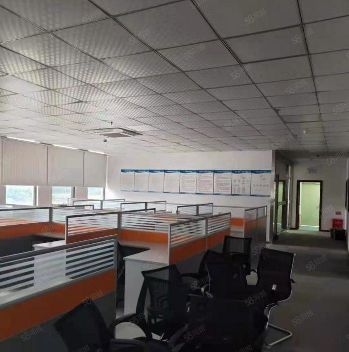 光明白花洞厂房（1150，720，2600平，大小面积均有）