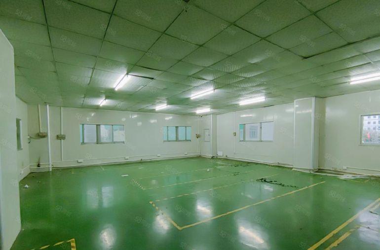 光明公明田寮无尘车间厂房出租（1100平无转让费，格局方正）