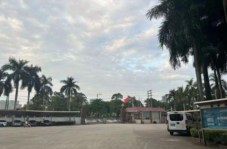 光明公明特建发直租（4000~5万平无公摊，大小可分）交通好