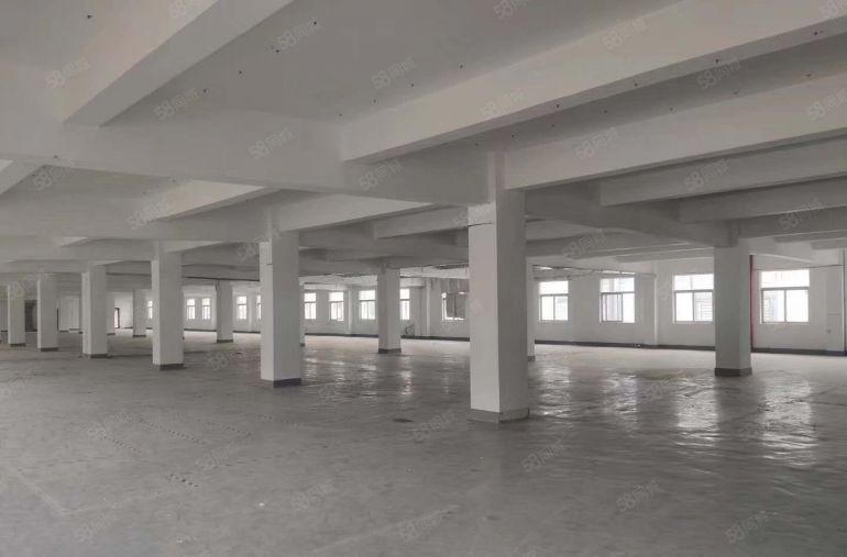 光明区公明独院厂房出租，面积8000平方，空地大，一楼6米高