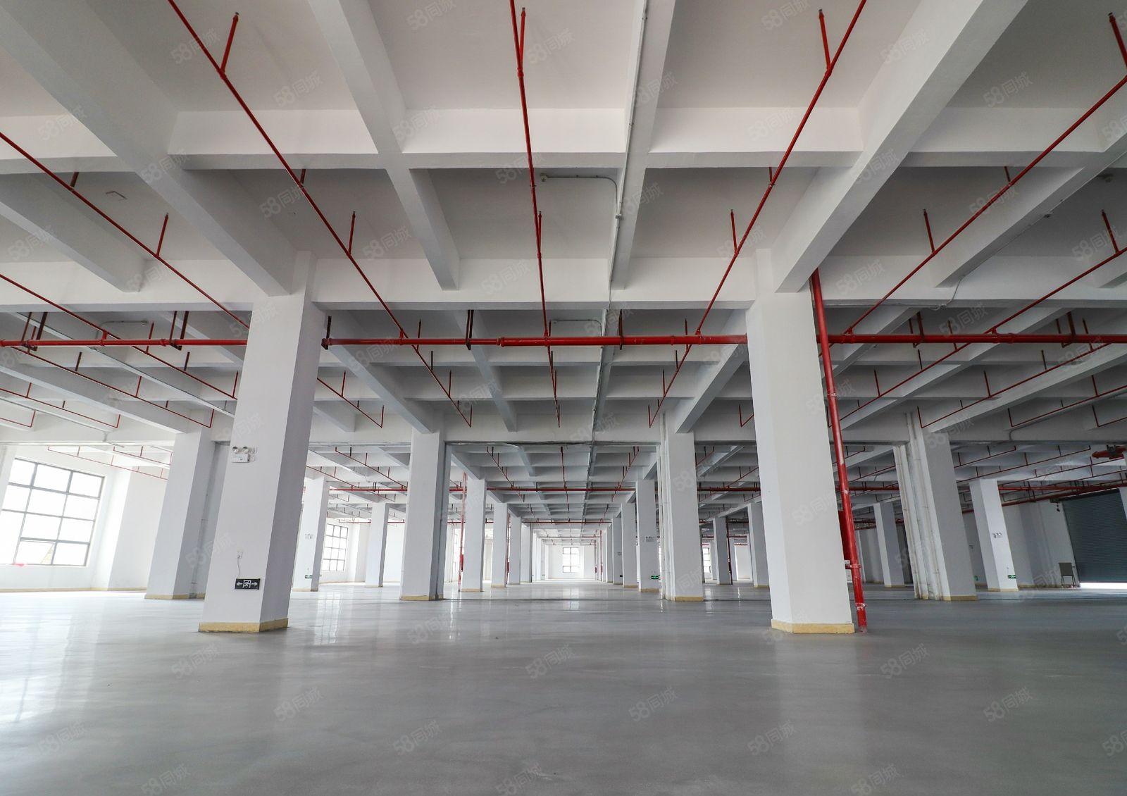 光明搬黄江,黄江整层7750平米厂房业主出租,形象佳可办环评