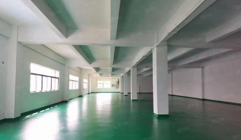 公明300至8000平方一楼上精装修办公室仓库电商物流出租