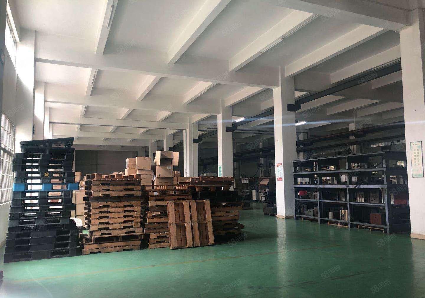 公明一楼厂房出租，450平一3000平（原房东直租）