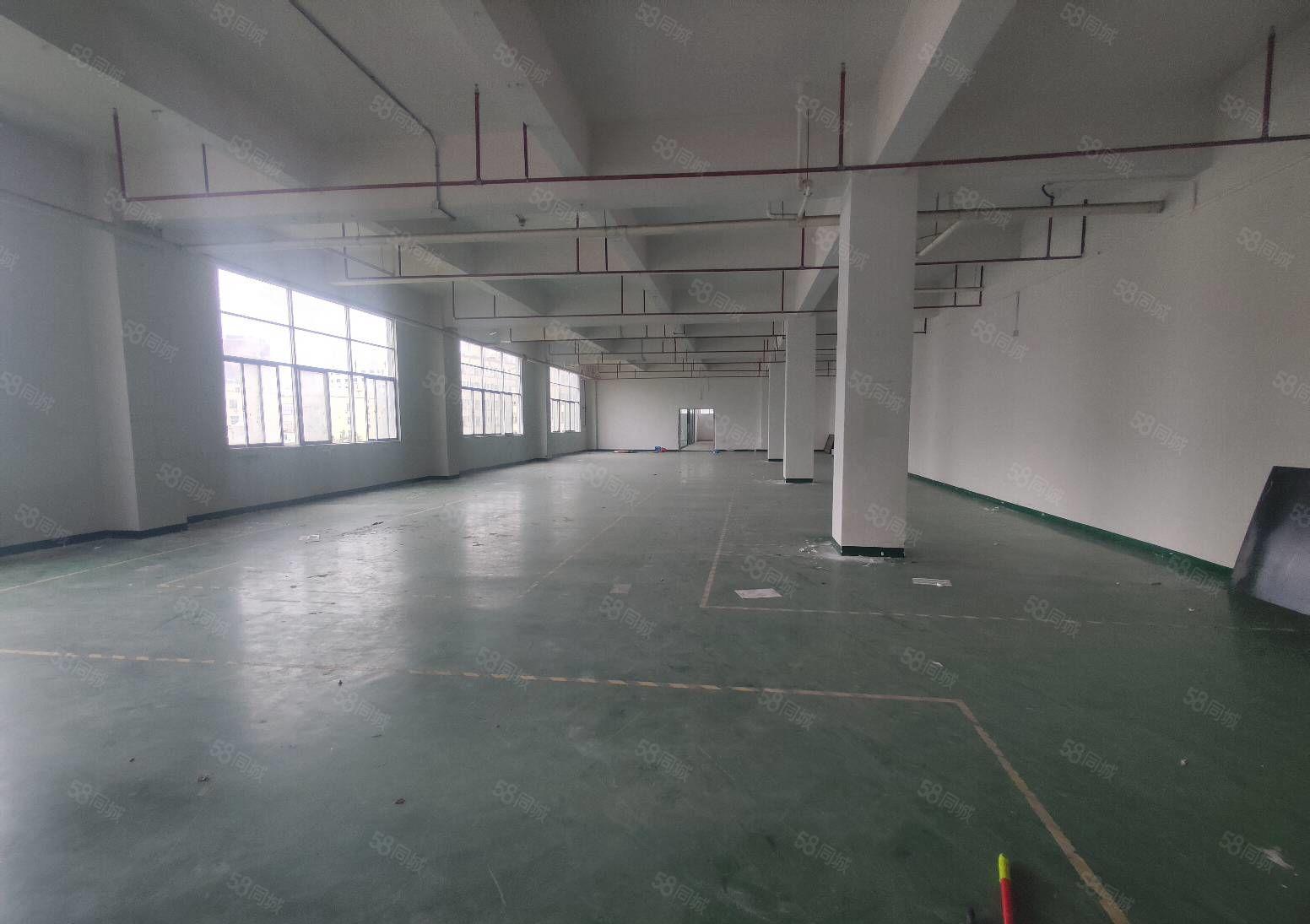 光明新空出大型工业园楼上带精装修厂房1200平，现成装修