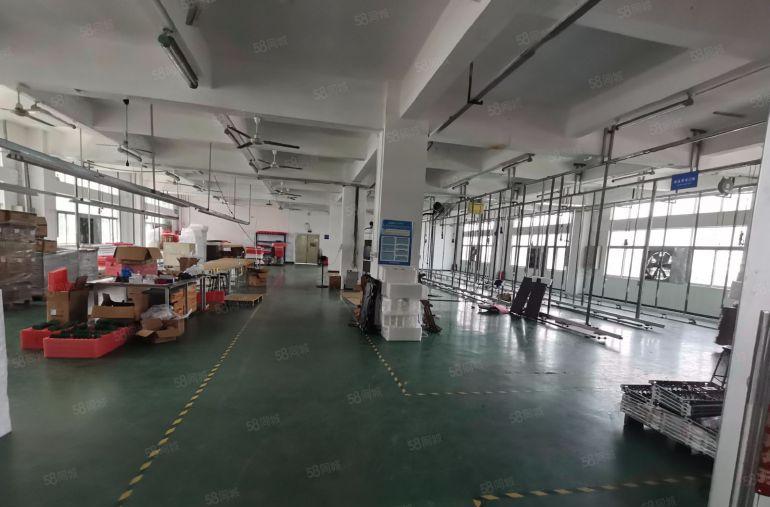 光明合水口独门独院8000平米厂房出租