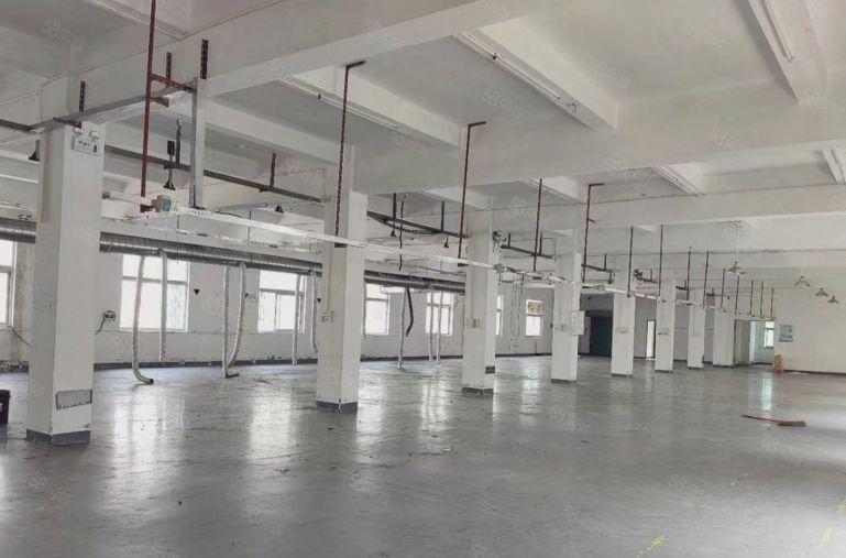 光明红星独院厂房出租5000平坐南朝北，可分栋租