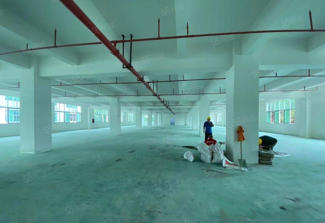 光明原房东红本厂房仓库500平1000平2000平出租