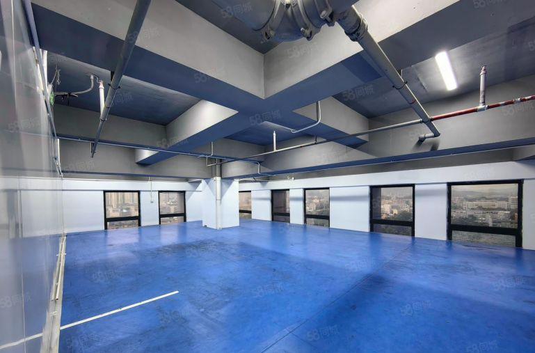 公明楼村1200平无尘车间精装厂房仓库出租 实际面积出租