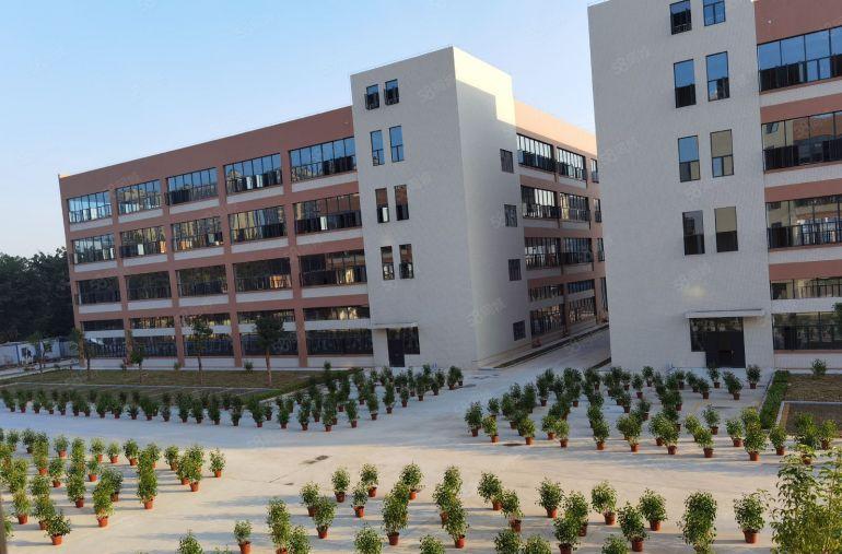 光明地铁口原房东红本独门独院出租8000平米合同可签10年