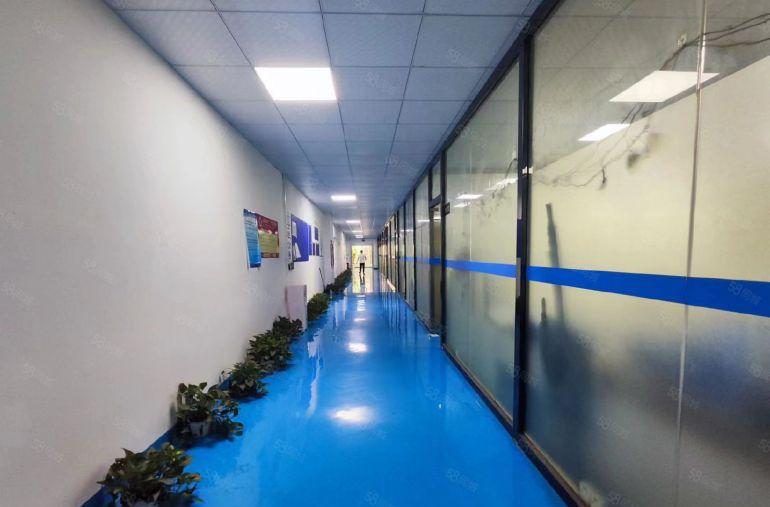 靓盘公明蒋石豪华装修厂房2400平一整层货梯十客梯大小分租