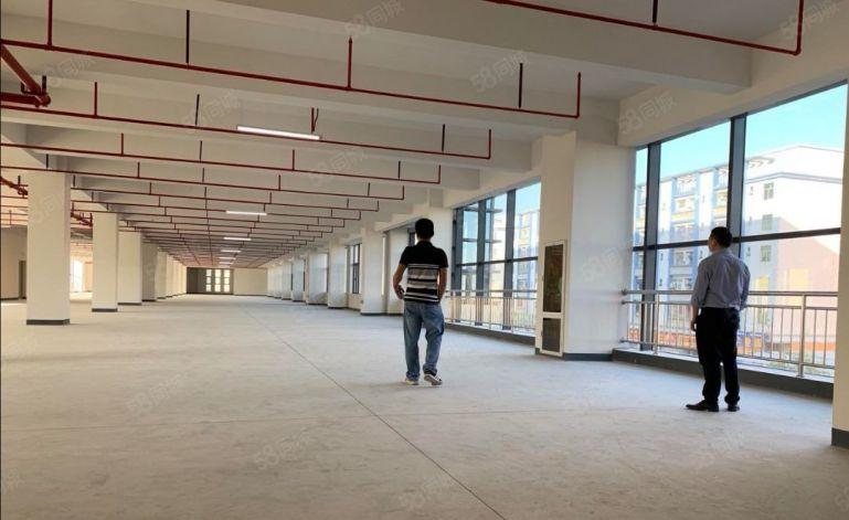 光明公明全新厂房，仓库出租500，1000，3000平好分租