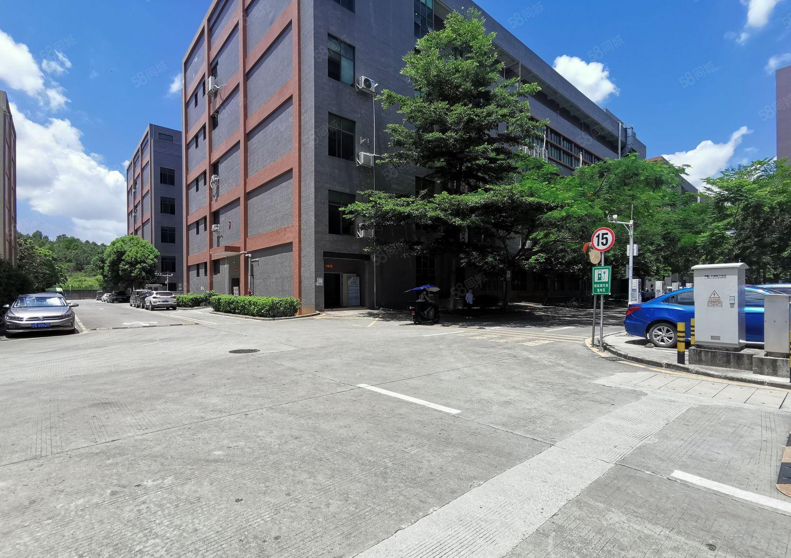 光明白花洞厂房出租1000平带精装修大气前台形象好大型工业园