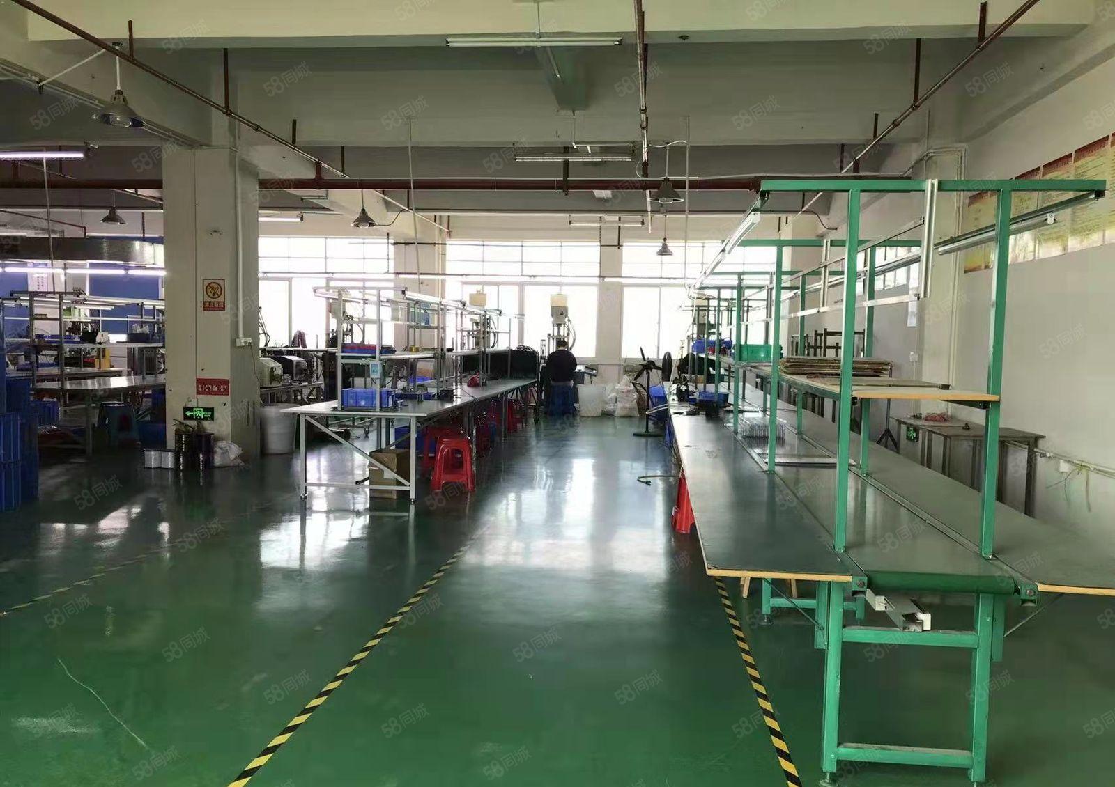 光明特价厂房出租（18元全包，精装900平，面积实在可实量）