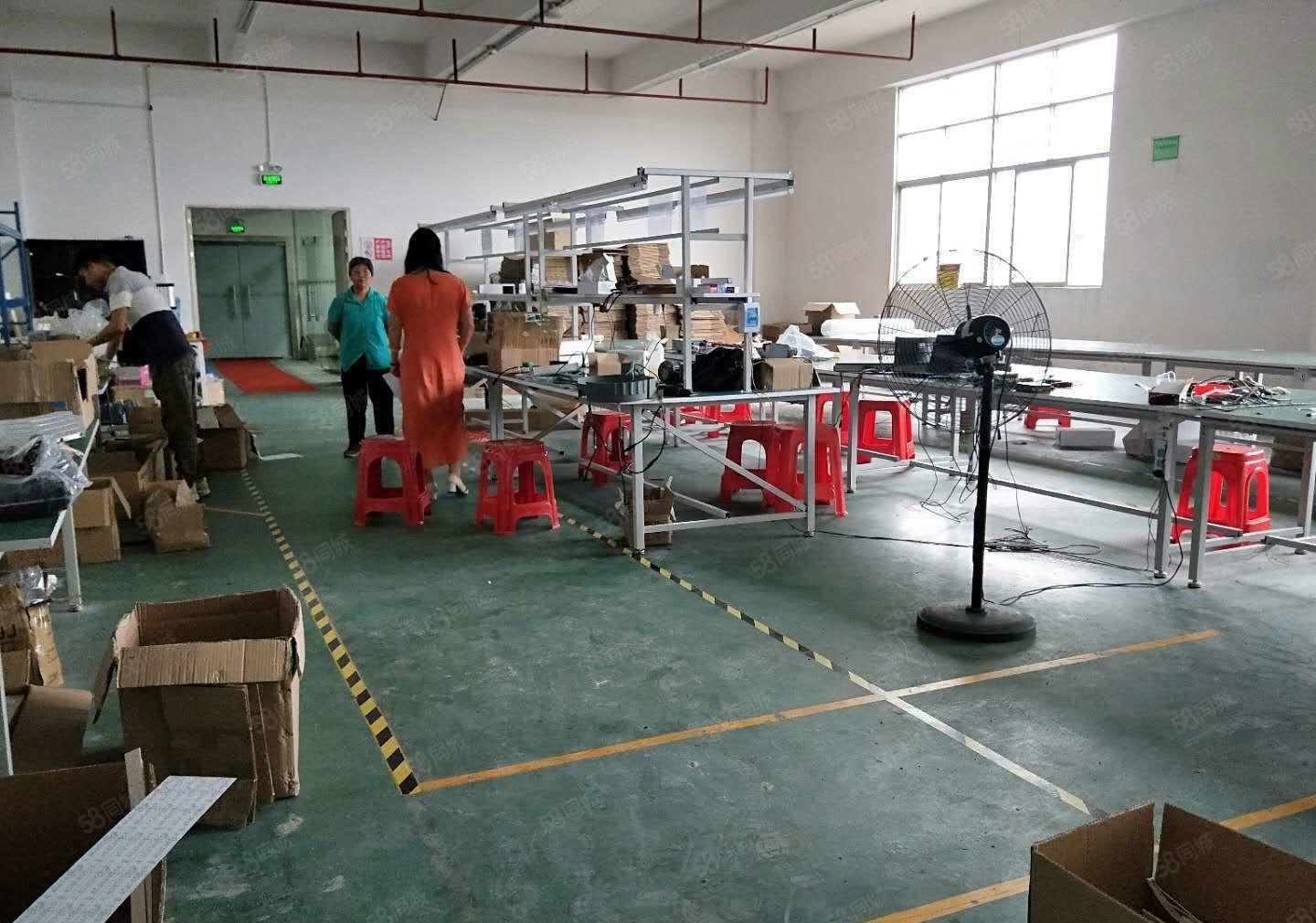 降价了！光明公明蒋石厂房出租（楼上500平精装，19元一平）