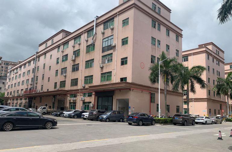 光明田寮原房东楼上带装修1200平重工业厂房出租