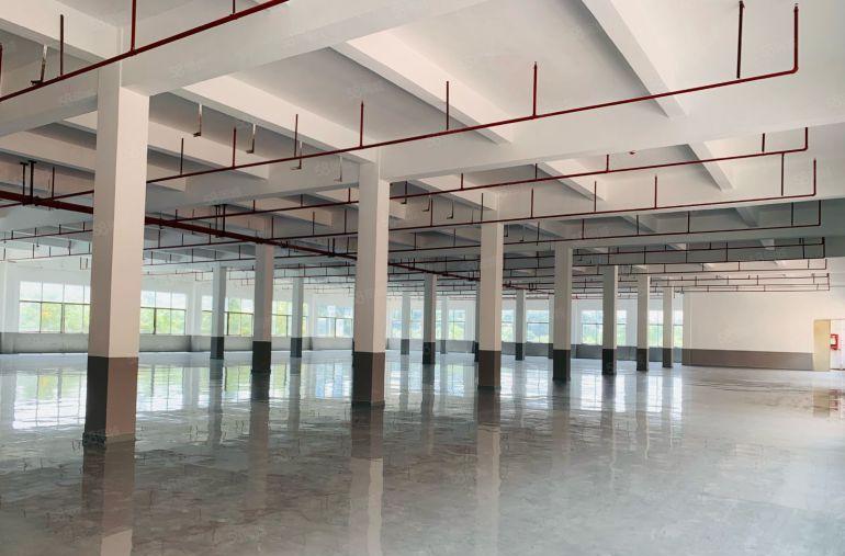 公明厂房26元光明厂房出租6380平原房东红本公摊小空地大