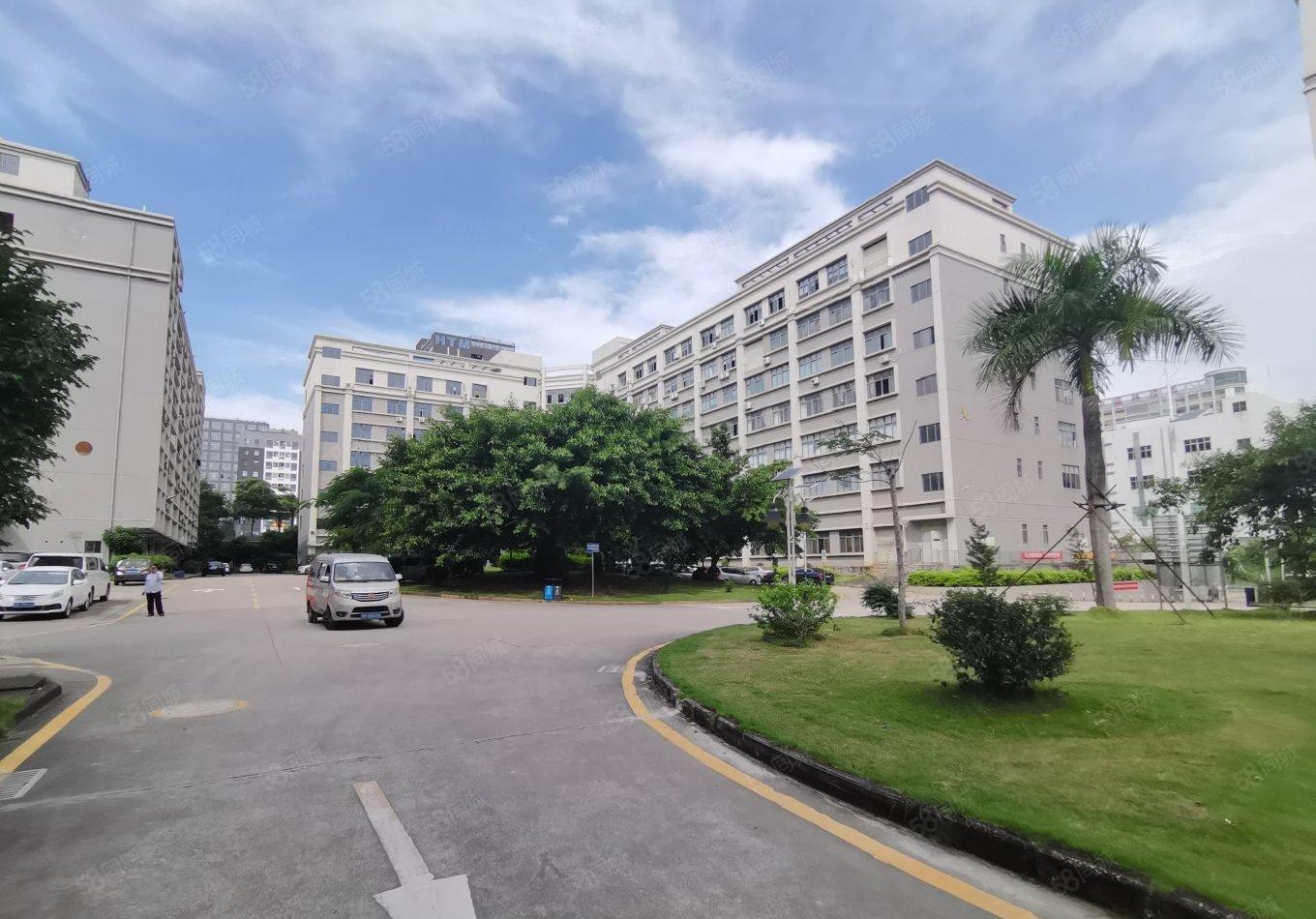 公明新出原房东一楼1788平精装修水电齐全随时入住可分租