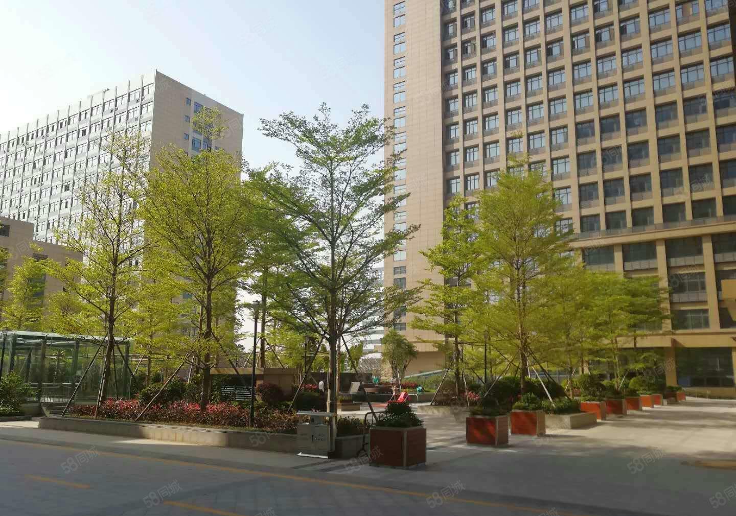 出租公明生物医药，研发生产厂房，4000平单层2000平可分