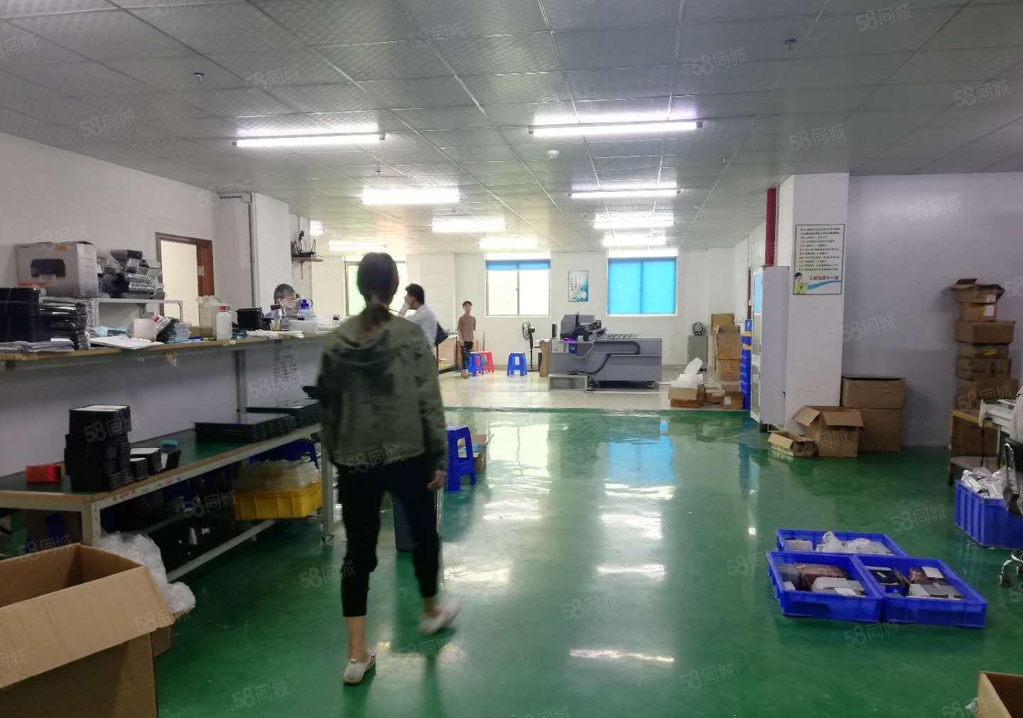 特价！18元出租楼上700平精装厂房，看中入住即可生产 光明