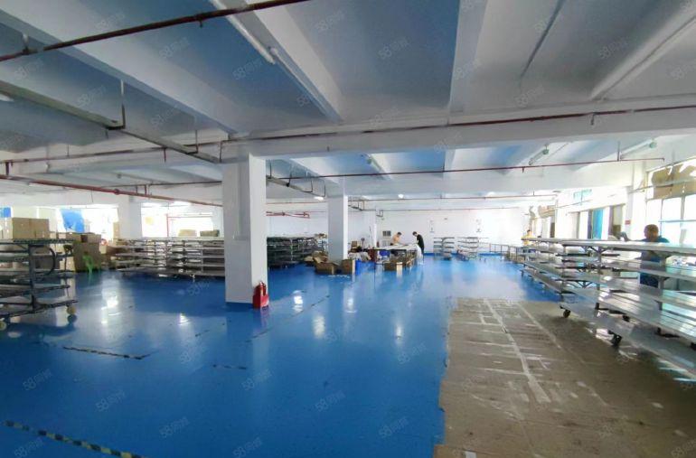 光明公明原光电厂出租（3676平可分900起，车间干净明亮）