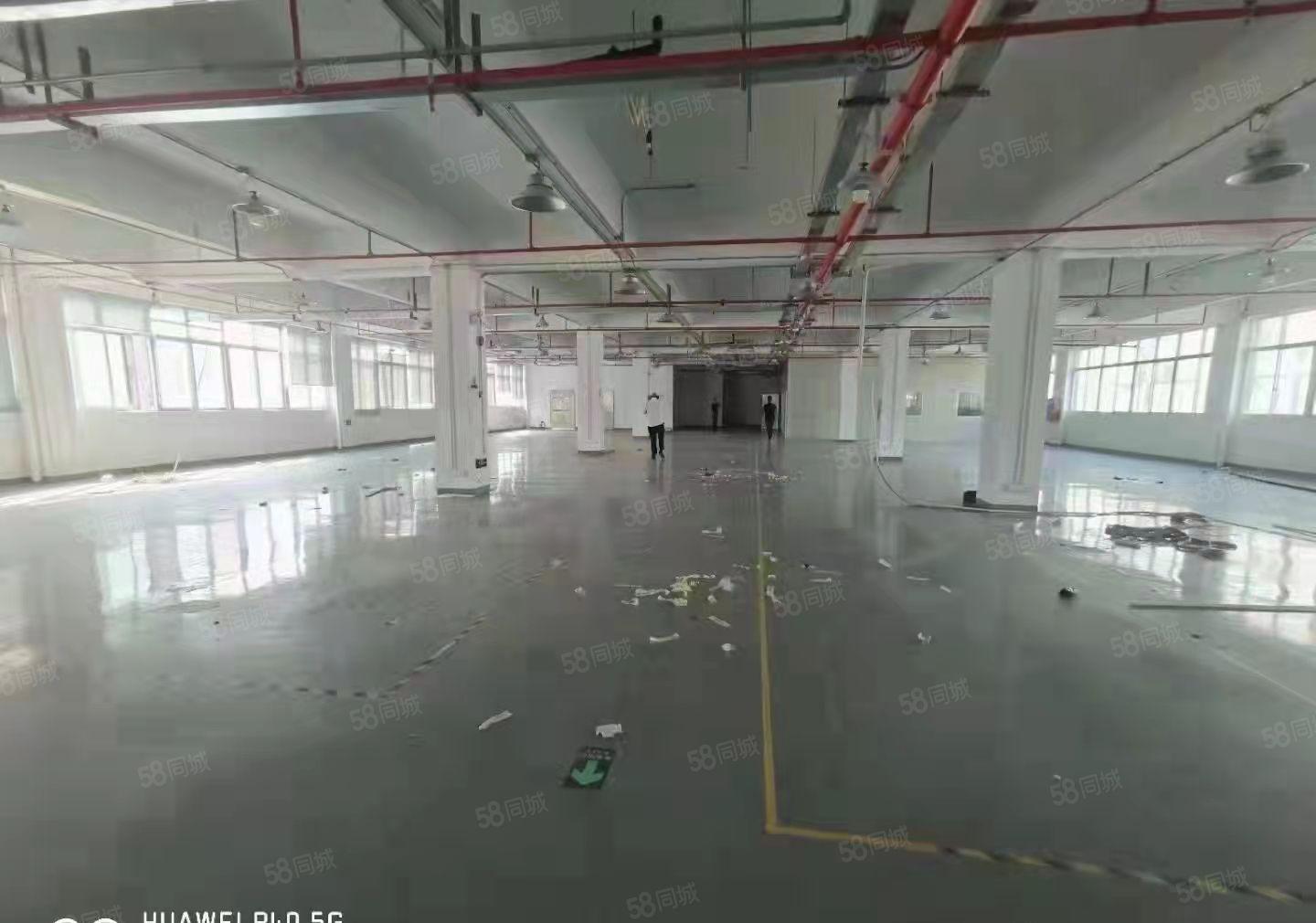 出租公明松柏路旁，1580，3280平，园区形象好，交通方便