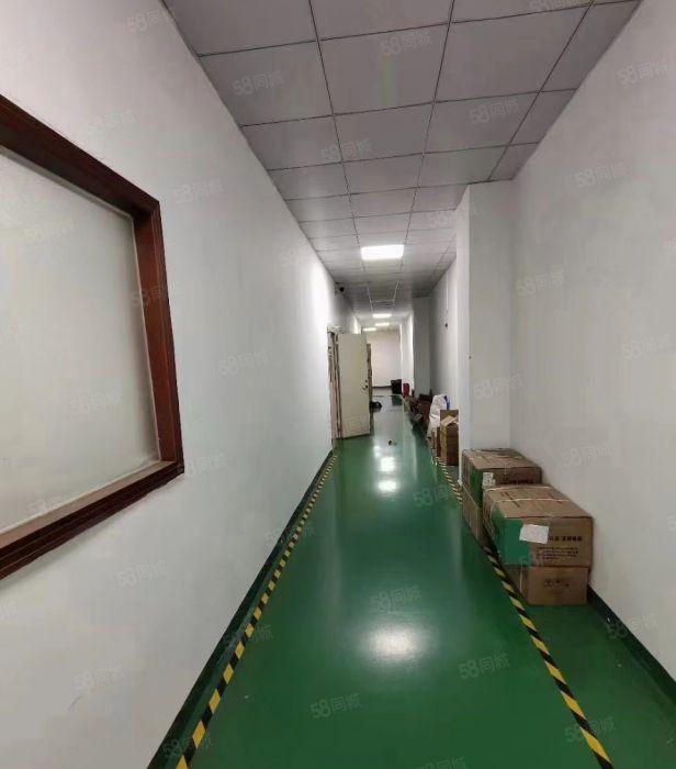 公明蒋石精装厂房（1080平，车间吊好顶，适合电子，LED）