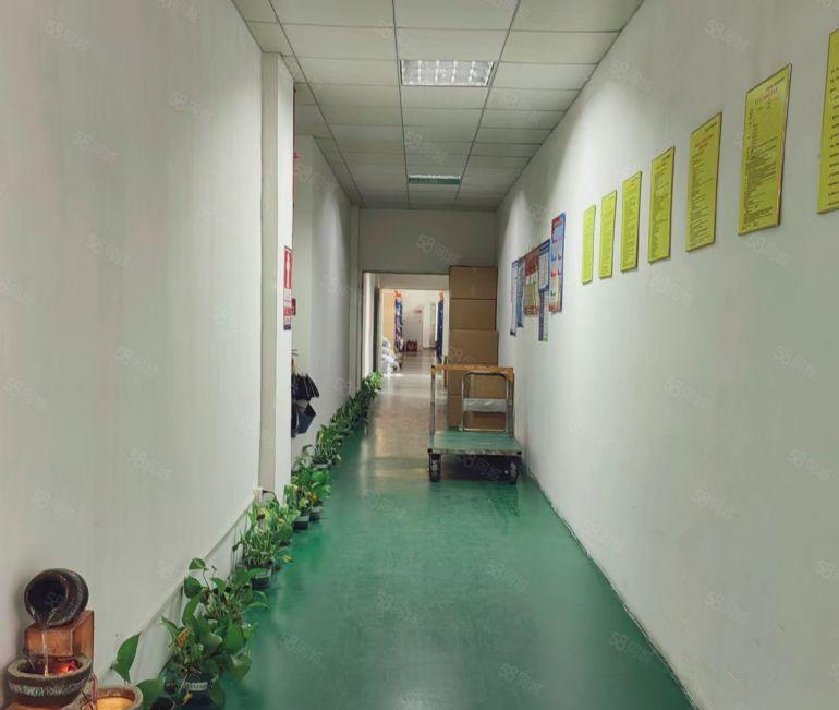 公明上村重工业厂房出租750平园区形象好，停车免费，好招工