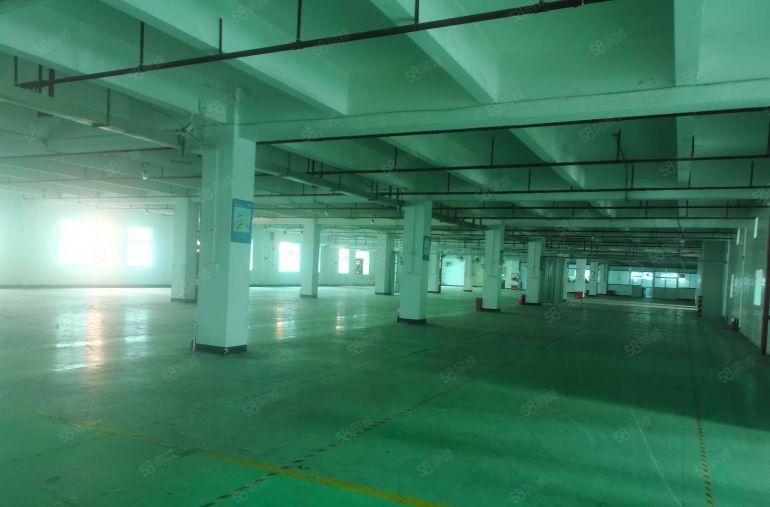 光明区凤凰街道原房东独院厂房1到5层12000平出租可分租