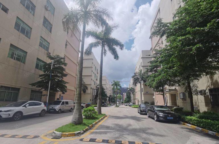 光明上村新出原房东实际面积3楼1500平无尘车间豪华装修