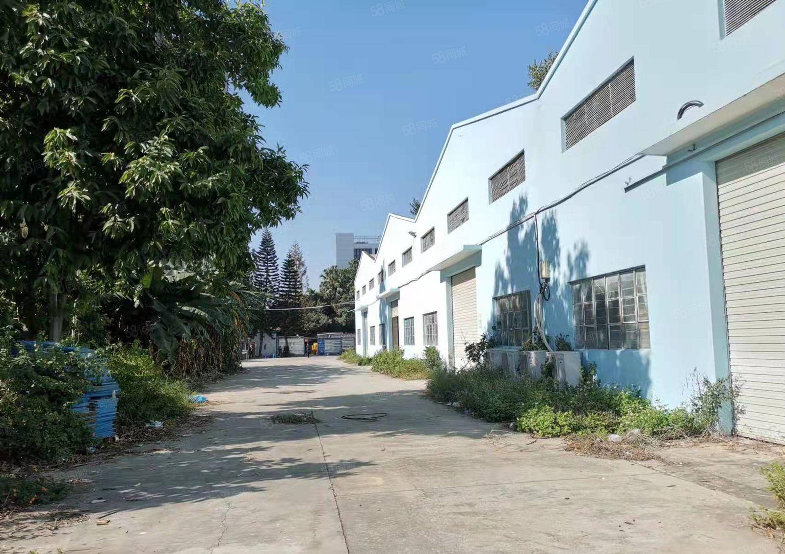 公明独院钢构出租6300平，可做生产，仓库，带红本，空地超大