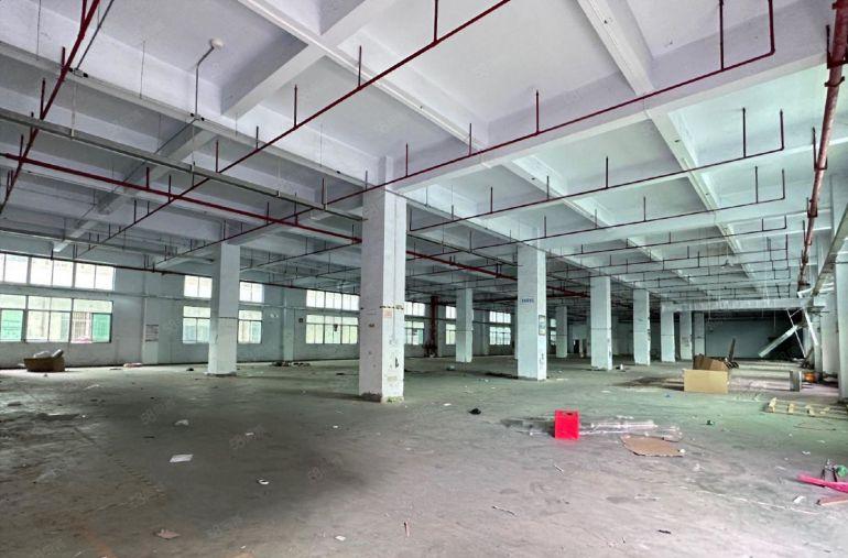 公明李松蓢原房东厂房一楼2500平，高6米，近高速口可进大车